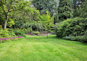 Optimiser l'expérience du jardin à Bourgheim